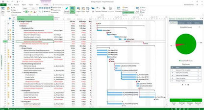 Project Professional 2016 | Genuine Full Version | License - 1PC - INFINITE-ITECH