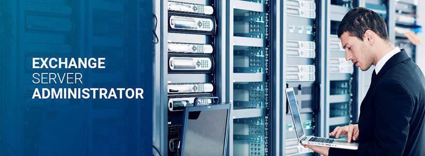 Windows Server 2019 Standard Edition 16 Core 1PK DSP OEI DVD 64-Bit English + 50 RDS CALS (MPN: P73-07788) | Australian Stock - INFINITE-ITECH
